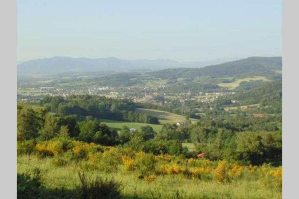 Gîte de moyenne Montagne Anould Extérieur photo