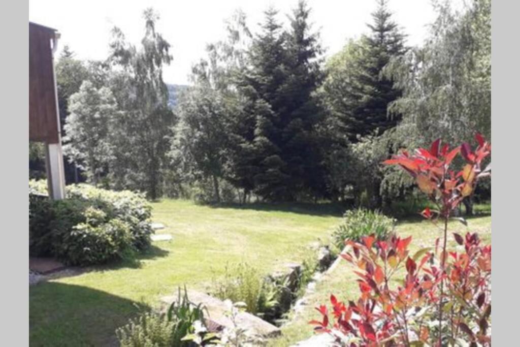 Gîte de moyenne Montagne Anould Extérieur photo